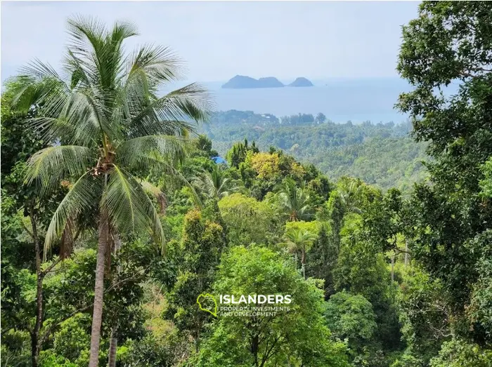 🌴 Land for Sale – Haad Yao / Srithanu, Ko Pha-ngan 🌊