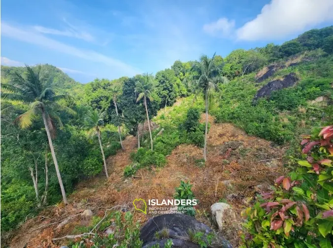 🌴 Land for Sale – Haad Yao / Srithanu, Ko Pha-ngan 🌊