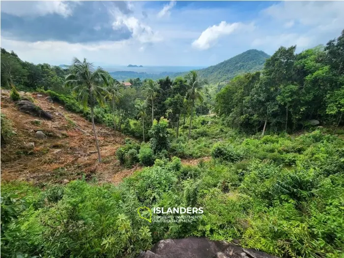 🌴 Land for Sale – Haad Yao / Srithanu, Ko Pha-ngan 🌊