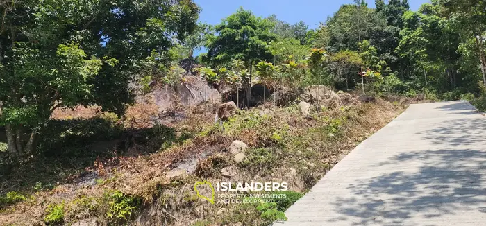 Prime Land Opportunity in Haad Yao