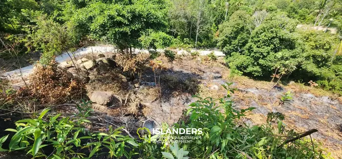 Prime Land Opportunity in Haad Yao