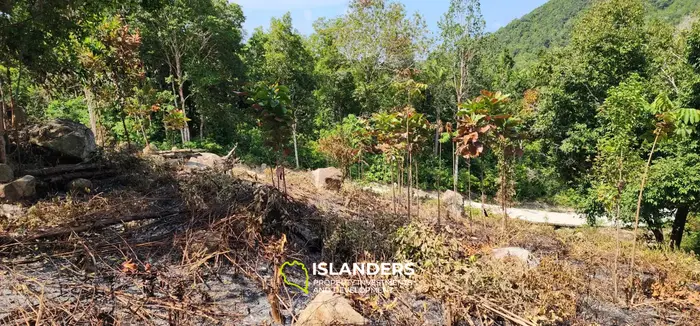 Prime Land Opportunity in Haad Yao