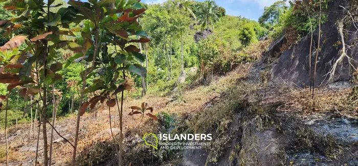 Prime Land Opportunity in Haad Yao