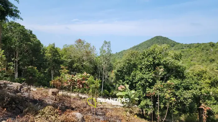 Prime Land Opportunity in Haad Yao