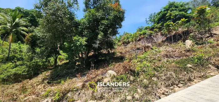 Prime Land Opportunity in Haad Yao