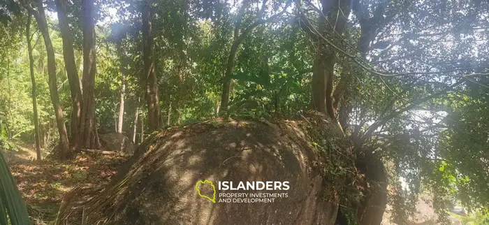 Тропическая земля с видом на море