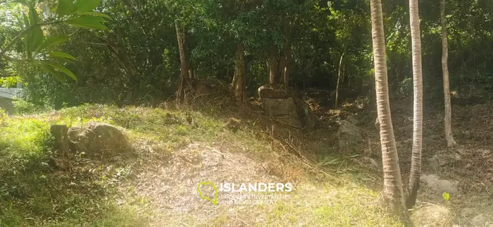 Тропическая земля с видом на море