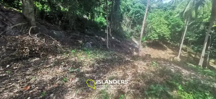 Тропическая земля с видом на море