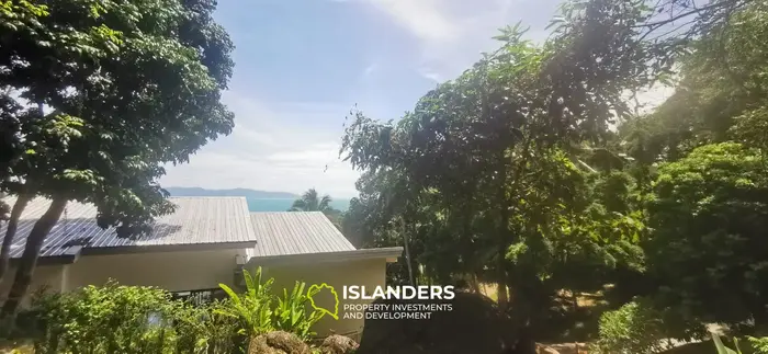 Тропическая земля с видом на море