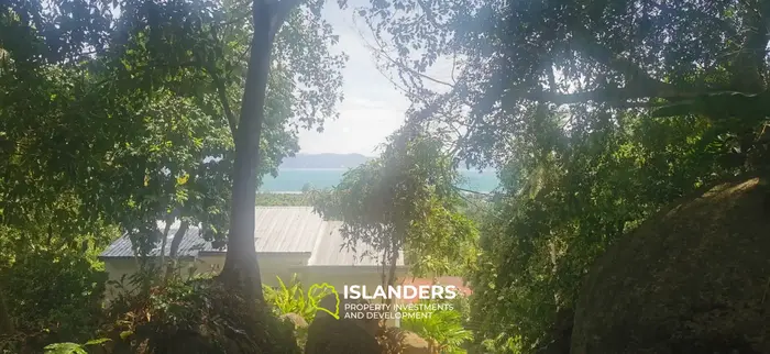 Terre tropicale avec vue sur la mer