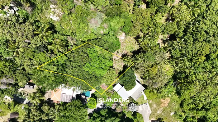 Тропическая земля с видом на море