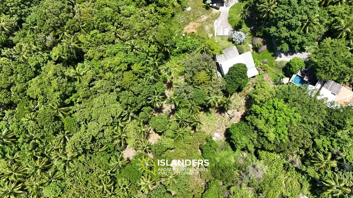 Тропическая земля с видом на море