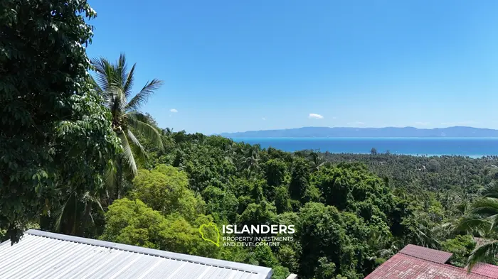 Тропическая земля с видом на море