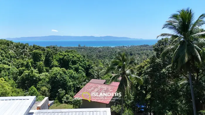 Тропическая земля с видом на море