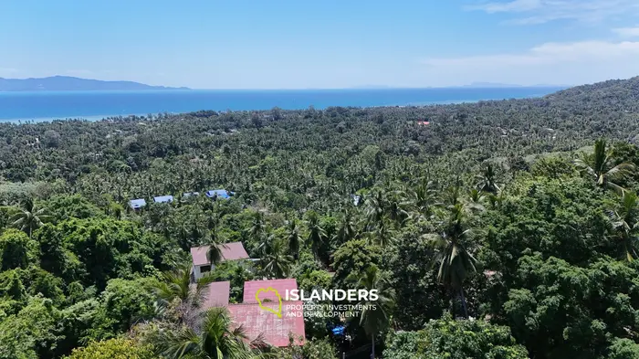 Тропическая земля с видом на море