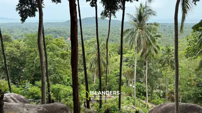 Stunning view land in the middle of Koh Phangan