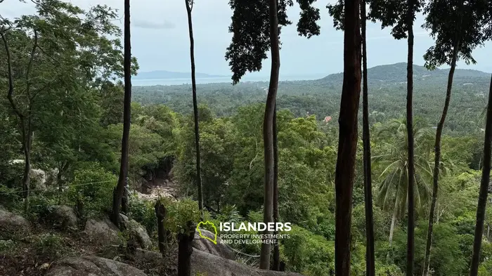 Vue imprenable sur un terrain au milieu de Koh Phangan