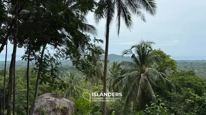 Vue imprenable sur un terrain au milieu de Koh Phangan