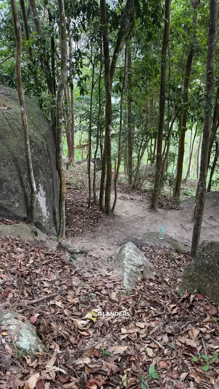 Vue imprenable sur un terrain au milieu de Koh Phangan