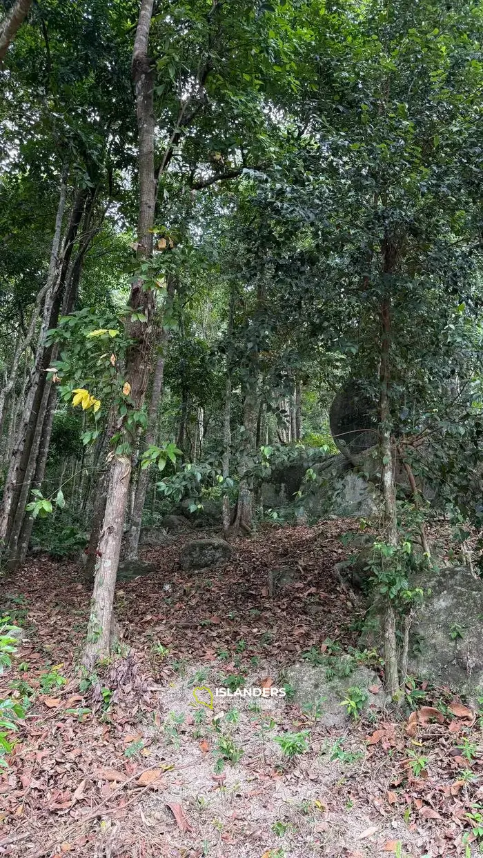 Vue imprenable sur un terrain au milieu de Koh Phangan