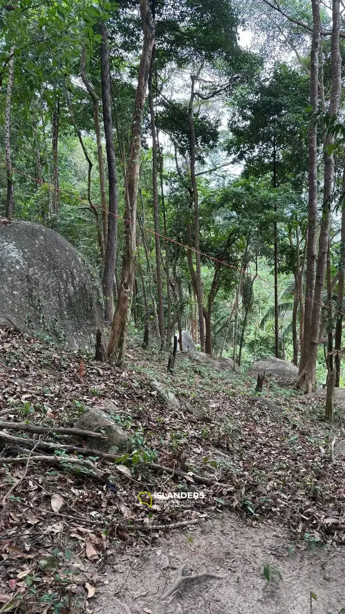 Vue imprenable sur un terrain au milieu de Koh Phangan