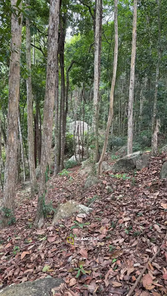 Vue imprenable sur un terrain au milieu de Koh Phangan