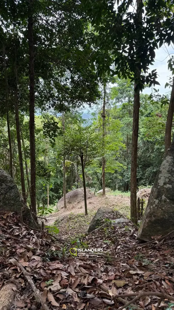 Vue imprenable sur un terrain au milieu de Koh Phangan