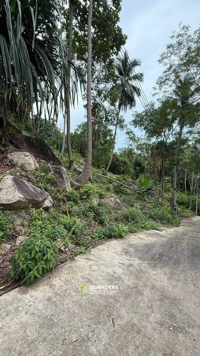 Vue imprenable sur un terrain au milieu de Koh Phangan