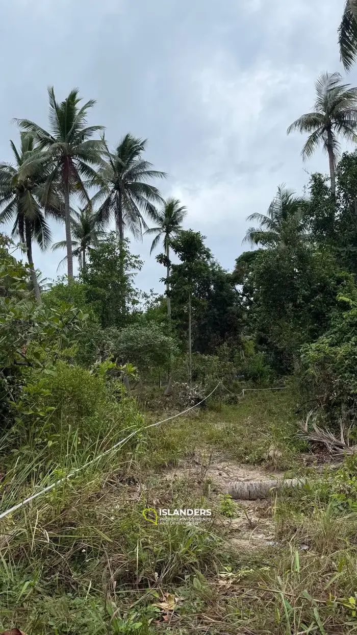 Земля на продажу в Сритаану – Ко Пханган