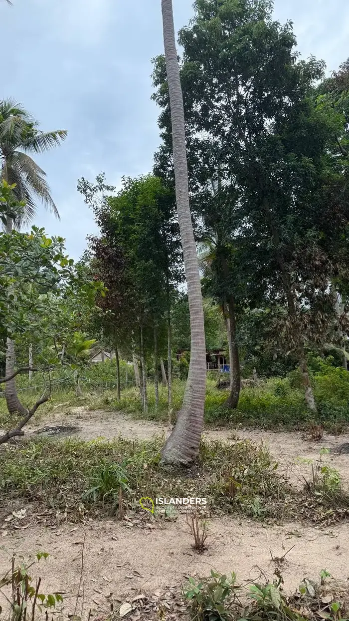 Земля на продажу в Сритаану – Ко Пханган