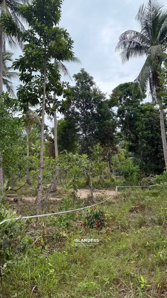 Земля на продажу в Сритаану – Ко Пханган