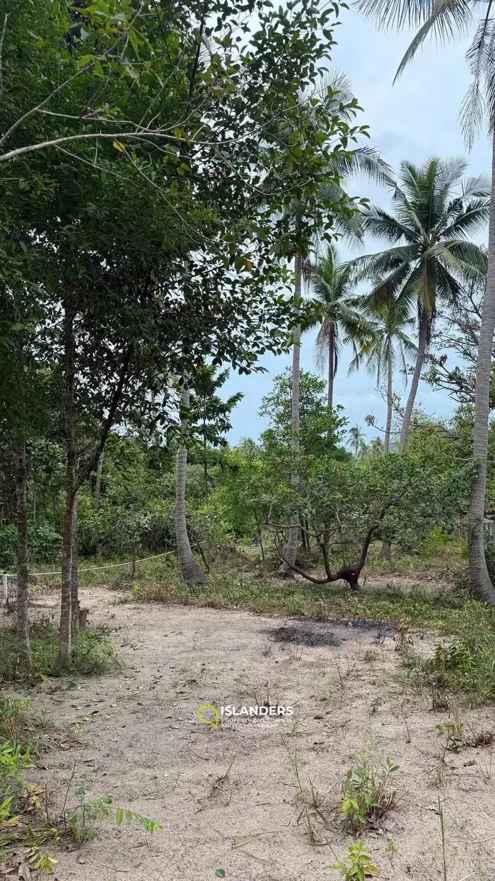 Земля на продажу в Сритаану – Ко Пханган