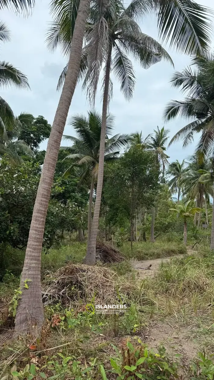 Земля на продажу в Сритаану – Ко Пханган