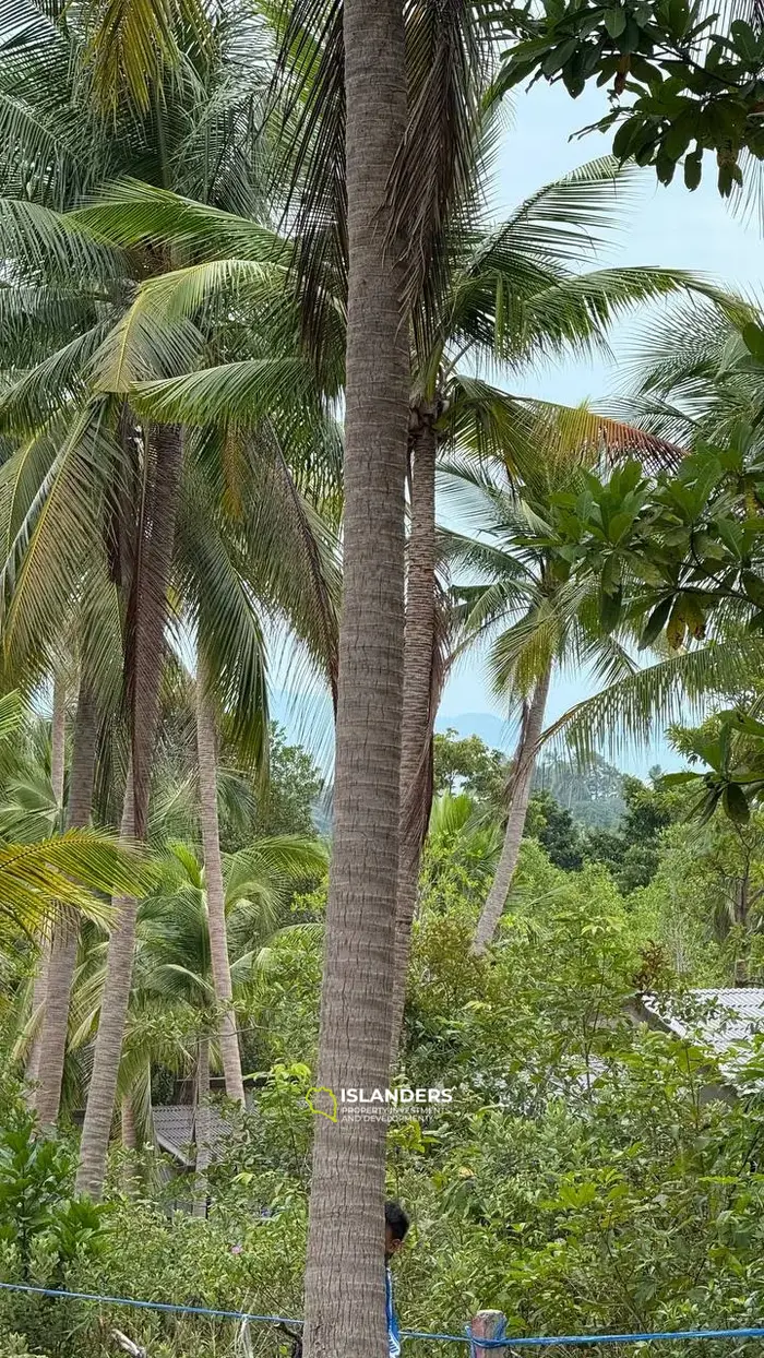 Land for Sale in Srithanu – Koh Phangan
