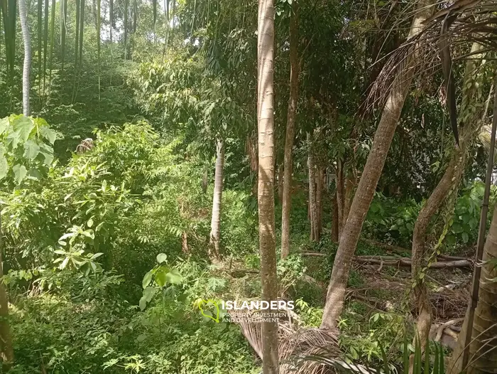 Well located 550 SqM plot - Srithanu 