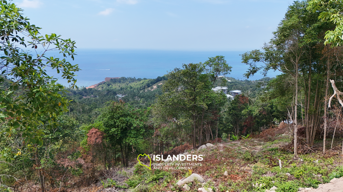 Premium Ocean View Land in Haad Yao — Infrastructure Ready, West Coast