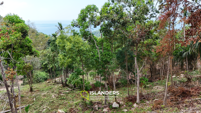שקיעה בברלי — נוף האוקיינוס מעל האד יאו