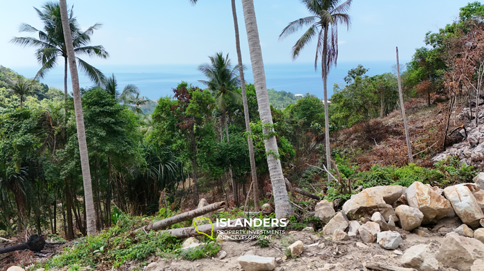 שקיעה בברלי — נוף האוקיינוס מעל האד יאו