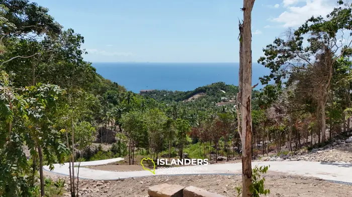 Premium Ocean View Land in Haad Yao (Plot MONET) — Infrastructure Ready, West cost