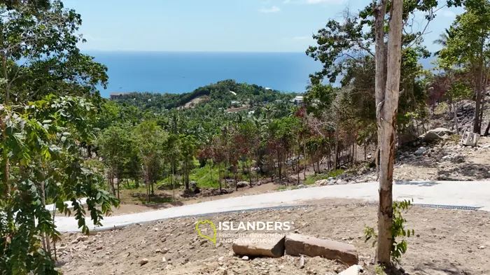 Premium Ocean View Land in Haad Yao (Plot MONET) — Infrastructure Ready, West cost