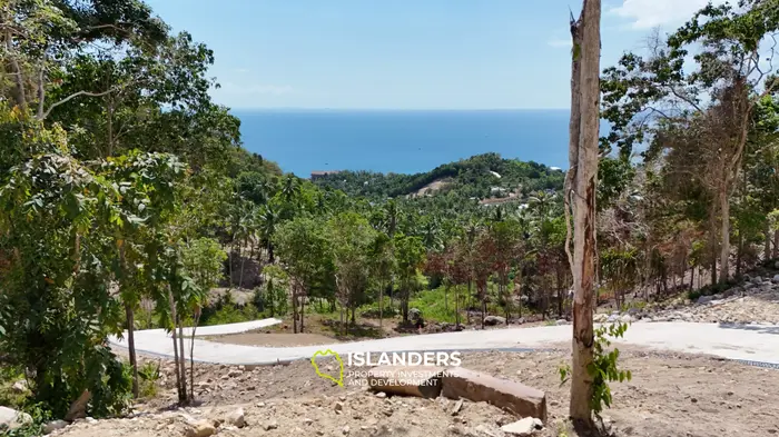 Premium Ocean View Land in Haad Yao (Plot MONET) — Infrastructure Ready, West cost