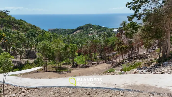 Premium Ocean View Land in Haad Yao (Plot MONET) — Infrastructure Ready, West cost