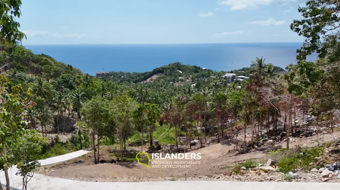 Premium Ocean View Land in Haad Yao (Plot MONET) — Infrastructure Ready, West cost