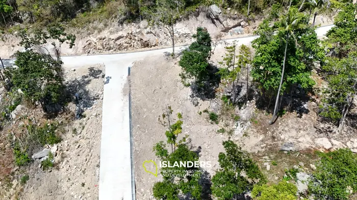 Premium Ocean View Land in Haad Yao (Plot MONET) — Infrastructure Ready, West cost