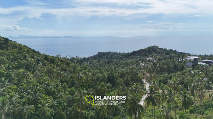Sunset Beverly — Ocean View Land Above Haad Yao