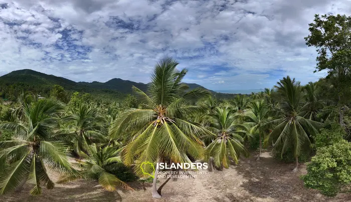 ✨ Sea view villa on Koh Phangan ✨