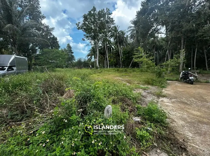 Small plot in the middle of Koh Phangan! Ready for construction