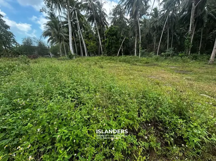 Small plot in the middle of Koh Phangan! Ready for construction