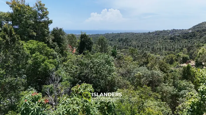 Sea View Land for Sale — Chalok Baan Kao, Koh Phangan