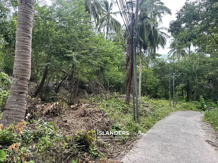 Leasehold Land for Sale in Beautiful Koh Tao, Sairee - 510 sqm Jungle View